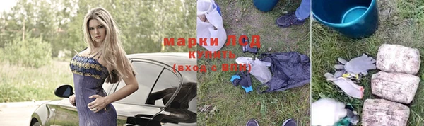 ГАЛЛЮЦИНОГЕННЫЕ ГРИБЫ Валуйки